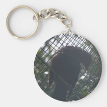 Tui Keychain