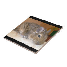 Tuile de détente de Degu Carreaux En Céramique