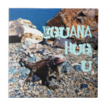 Tuile de l'étreinte U d'iguane Carreau