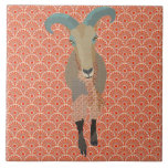 Tuile d'orange d'Aoudad carreaux