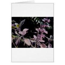 Tulasi Greeting Card