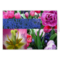 tulilp collage greeting cards