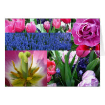 tulilp collage greeting cards