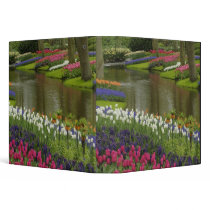 Tulip and hyacinth garden, Keukenhof Gardens, 2