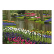 Tulip and hyacinth garden, Keukenhof Gardens, 2