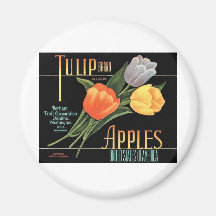 Tulip Apples Magnet