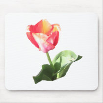 Tulip Bud Mousepad mousepads