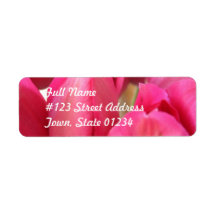 Tulip Bulbs Mailing Label