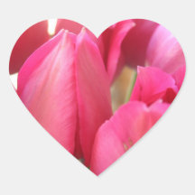 Tulip Bulbs Stickers