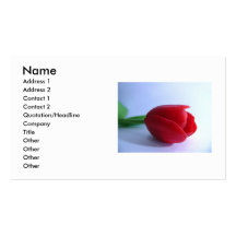 Tulip Business Card