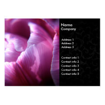 Tulip business cards