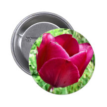 Tulip Button