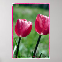 Tulip Couple Print