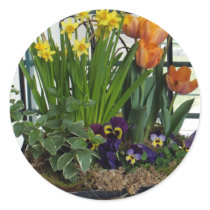 Tulip Daffodil Pansies Round Stickers