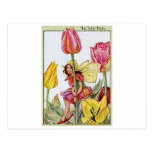 Tulip Fairy Post Cards