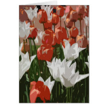 Tulip Festival Cards