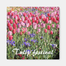 Tulip festival magnet