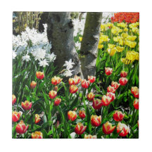 Tulip Festival Tile