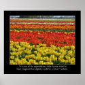 Tulip Field and Voltaire Quote posters