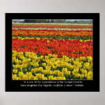 Tulip Field and Voltaire Quote posters