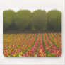 Tulip Field Mousepad