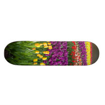 Tulip Field Skateboard Decks