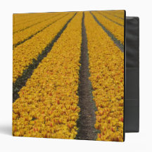 Tulip field, The Netherlands 3 Ring Binder