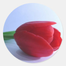Tulip Flower Round Stickers