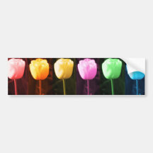 TULIP Flower Show Bumper Stickers