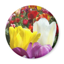 Tulip Flowers magnet Colourful Add Your Text
