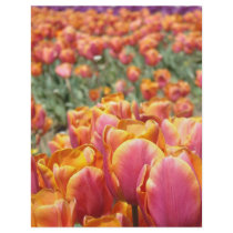 Tulip Flowers Scrapbook paper Scrapbooking Letterhead Design