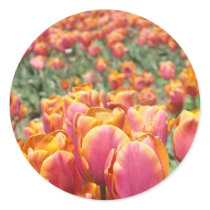 Tulip Flowers stickers Envelope seals Spring