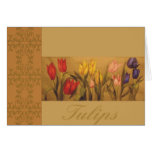 Tulip garden cards