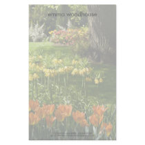 Tulip Garden DSC0838