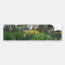 Tulip Gardens Bumper Stickers