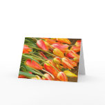 Tulip Greeting Card