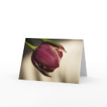 Tulip • Greeting Card