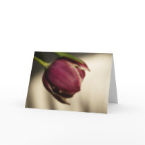 Tulip • Greeting Card