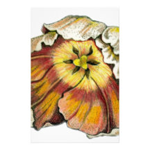 Tulip in Bloom Personalized Stationery