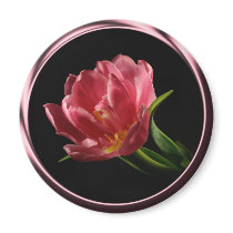 Tulip In Spring Double Bloom Photo Magnet