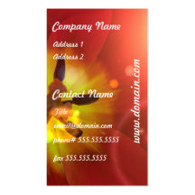 Tulip in Sunlight Business Card