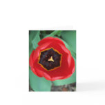 Tulip Inside Vertical Note Card