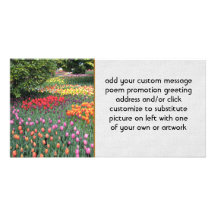 TULIP MEADOW PHOTO CARDS