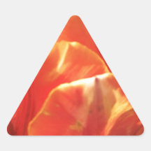 Tulip on Fire Triangle Sticker