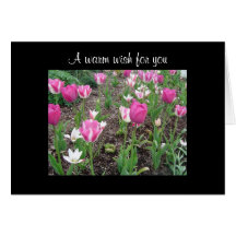 Tulip patch birthday wish greeting cards