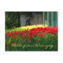 Tulip Postcard