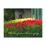 Tulip Postcard