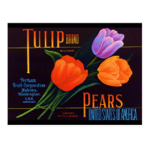 Tulip Postcard
