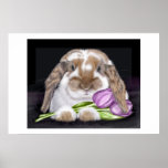 Tulip posters