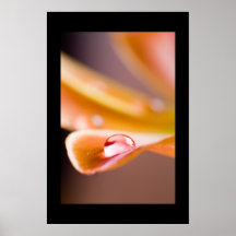 Tulip poster/canvas print